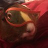 tapdancer77's profile picture