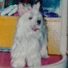 Aline's profile picture