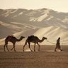 Фото профиля عمر الشامي