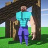 stevelecrafteur47 profil fotoğrafı