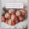 Najla🌸 的头像