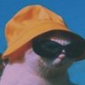 Gallito 的头像