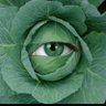 Muthandiwabantu 🇿🇦 profil fotoğrafı