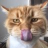 主任(元)'s profile picture