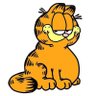 Фото профиля Gafield_zn🐈