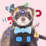 Profilbild von Dead Ferrets