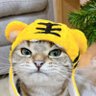 yim profil fotoğrafı