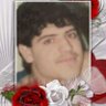 Profilbild von Timor Shah