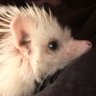 Profilbild von Kelena McEndree