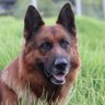 Quilombo profil fotoğrafı