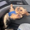 NtootheP profil fotoğrafı