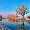Noureddine 的头像