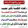 🌹فاطمة FATEMAH🌹 的头像