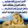 Mr/adel baghdadiأ/عادل بغدادي profil fotoğrafı