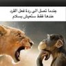 أبو مالك 的头像