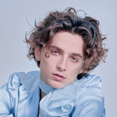 Timothée Chalamet Updates's profile picture