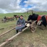 jagaa 的头像
