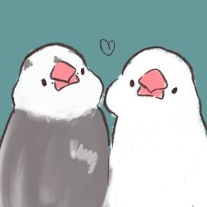ぴよた's profile picture