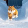jok就是神 profil fotoğrafı