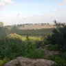 אביחי .ש.'s profile picture