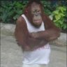 Quillich's profile picture