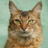 Rupert Ramsgate 🌈's profile picture