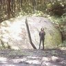Фото профиля はやしちさと
