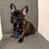 Profilbild von wiss