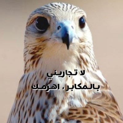 Helah59098958's profile picture
