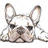 Profilbild von Junior A