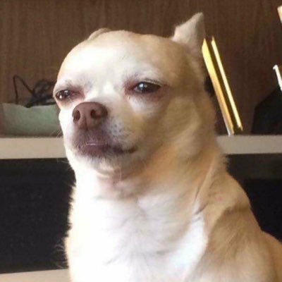 뚝's profile picture