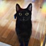 Fer profil fotoğrafı