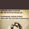 Betül 的头像