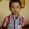 Cricket Wicket's profile picture