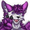 AshSoftpaws's profile picture