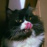 Tia profil fotoğrafı