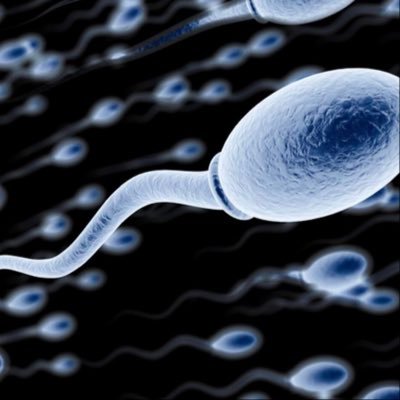 Cumloverzh's profile picture
