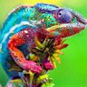 Фото профиля Mader Jean-pierre