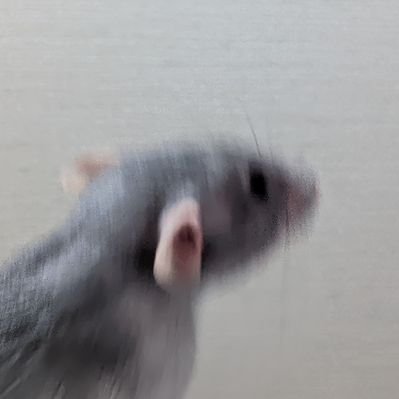 ファンしぃ🐀🐁⸒⸒'s profile picture