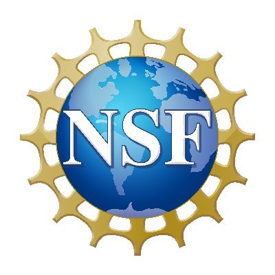 NSF's profile picture