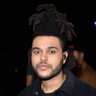 The Weeknd Memes's profile picture