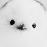 Profilbild von weeze:)