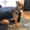 Cooper's profile picture