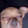 Profilbild von Davian
