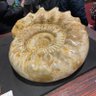ぱんだ 的头像