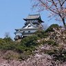 やまやん 的头像