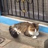 Sleepy Jackie 的头像