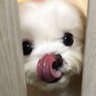Profilbild von ๋ถ