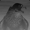 m.b.k's profile picture