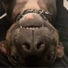 nez's profile picture
